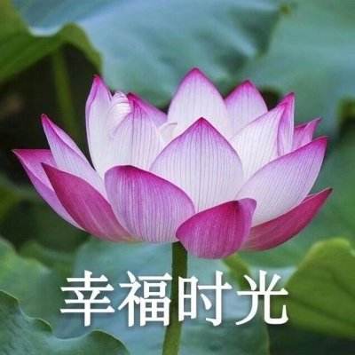 运河十年蝶变，焕发蓬勃生机