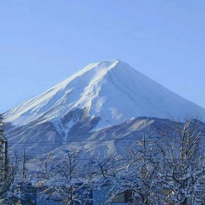 陕西宝鸡暴雨洪灾致5死8失联