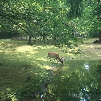 陕西神木李家沟煤矿“1·12”重大事故 应急管理部派出工作组赶赴现场