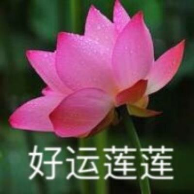 聚焦防汛抗洪｜特写：分秒必争！“抢”出来的堵口速度